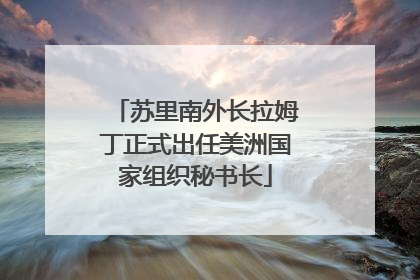 苏里南外长拉姆丁正式出任美洲国家组织秘书长